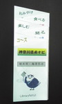 408-19.jpg